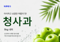 썸머킹 아오리 청사과 5kg x1박스 (10,600원 / 배송 무료)