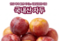 국내산 자두 (55~65g, 2kg, 1박스) (8,900원 / 배송 무료)