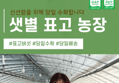 [당일배송 표고버섯]샛별농장 국내산 생 표고버섯, 파지, 육수용, 1kg, 1박스 (10,584원 / 배송 무료)