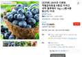 [프리본] 2025년 수확한 개별급속동결 A등급 미국산 세척 블루베리 1kg x 2봉/4봉 (21,900원 / 배송 무료)