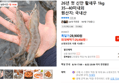 26년 첫 신안 활새우 1kg 35~40미내외 (25,950원 / 배송 무료)