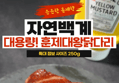 [하루특가] 자연백계 훈제 점보 닭다리, 250g, 5개 (16,900원 / 배송 무료)