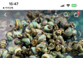 45%할인 동강 자연산 손질 깐다슬기, 300g, 3팩 (26,800원 / 배송 무료)