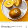 썬 골드키위 특대과 22입 3kg