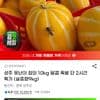 성주 못난이 참외 10kg