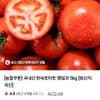 완숙토마토 랜덤과 5kg
