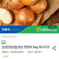 [농협몰]경남 햇양파 5kg 특사이즈 (5,900원/무료)