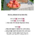 [남도장터]화순유기농복숭아 1.8kg(24,500원/무배)흑찰옥수수 10개(10,150원/무배)