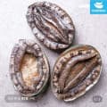 [롯데온]완도 활전복 1kg 9-10미 (16,930원/무료배송)