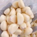 [우체국쇼핑몰]26년산 국내산 남도 깐마늘 500g (4,980 / 무료배송)