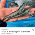 [지마켓]국내산 활새우 500g (19,560원/무료)
