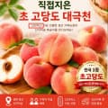[네이버]대극천 복숭아 3kg (15~23과) 대과 (29,900원/무료배송)