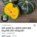 [지마켓]제주 보우짱 미니 밤호박 로얄 5kg (11,620원/무료)