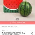 [오늘의집]농협 특품 당도선별 꿀수박 6kg (15,912원/무료)