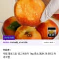 [CJ온스타일]국내산 옐로드림 망고복숭아 중소과 1kg (8,900원/무료)