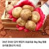 26년 국내산 햇감자 왕특 3kg