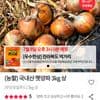 국내산 햇양파 3kg 상