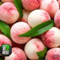 [지마켓]백도복숭아 4kg 중소과 (19,990원/무료)