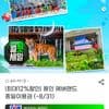 용인 에버랜드 종일이용권 (~8/31)