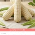 [오늘의집]미백/흑찰 찰옥수수 20개 (11,924원/무료)