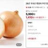국내산 햇양파 중사이즈 3kg