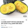 [g마켓]제주 농협선별 밤단호박 보우짱 4.5kg (8,970원/무배)