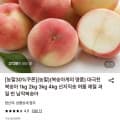 [롯데온]대극천 복숭아 1kg 소과 (5,900원/무료)