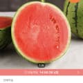 [오늘의집]정품 꿀단지 수박 6~7kg (16,197원/무료)