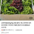 [네이버]초록이들 유러피안 쌈 500g (4,720원/무료)