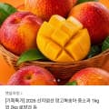 [카카오]망고복숭아 중소과 1kg 외 (8,790원 / 무배)
