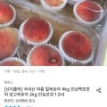 [오늘의집]국내산 여름 털복숭아 랜덤과 4kg (8,910원/무배)