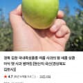 [네이버]햇 사과 썸머킹 3kg 13과 이상 (21,900원/무료)