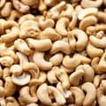 맥반석 오징어 100g(5,967원), 구운캐쉬넛 500g(9,006원) 등/무료