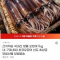 [지마켓]산지직송 국내산 생물 오징어 1kg (4~7미내외)(17,140원/무료)