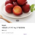 [cj온스타일]노지자두 1kg (6,900원/무료)