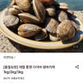 [롯데온]통영 왕바지락 1kg (9,520원/무배)