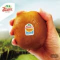 [G마켓]제스프리 골드키위 3.2kg 외(23,100원/무료)