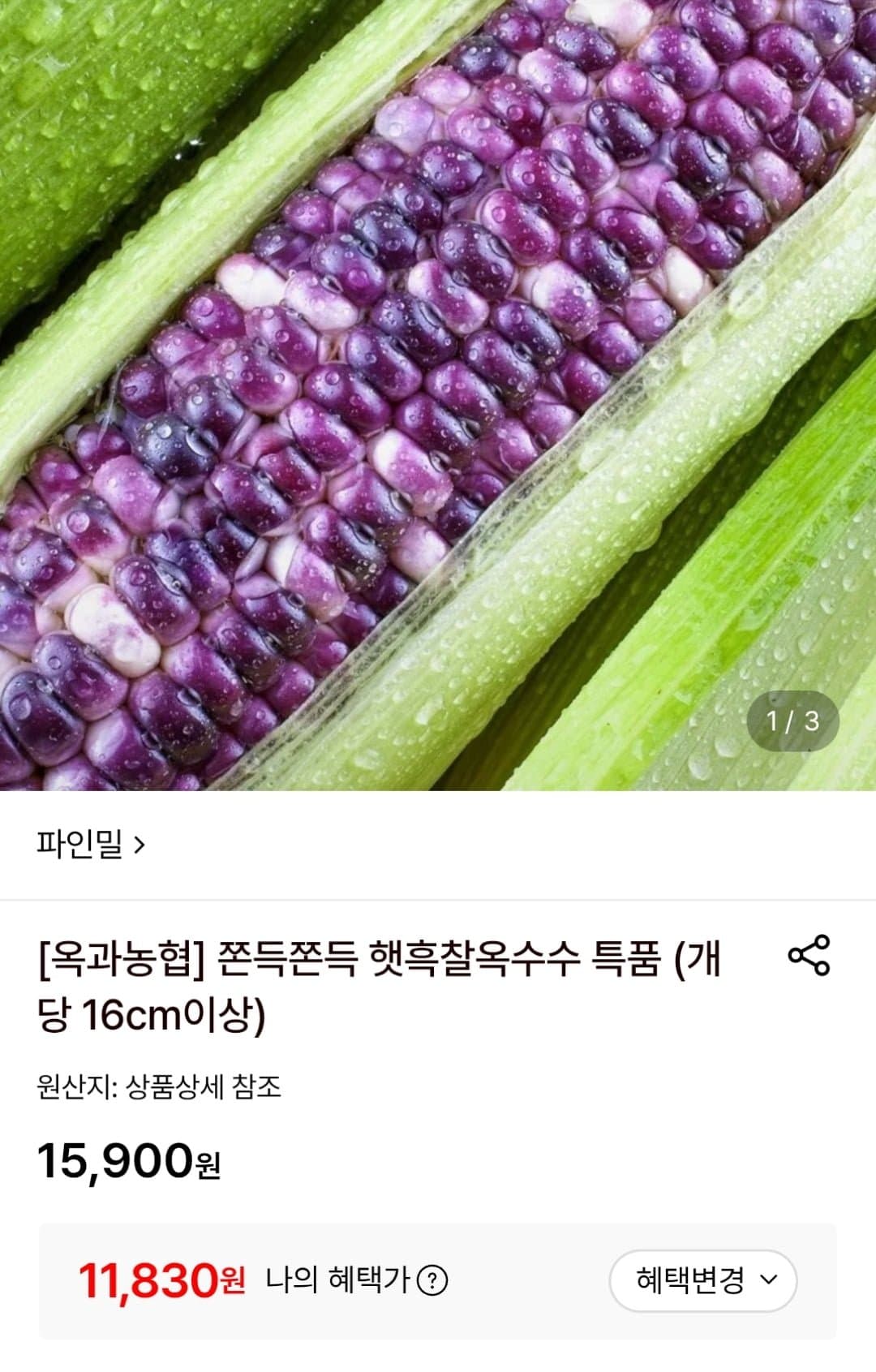 [롯데온]햇흑찰옥수수 특품 10송이 (카카오11,830원/무료)
