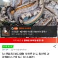 [G마켓]완도 활전복 대왕특대 6~7미 1kg (19,850원/무배)