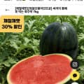 [지역몰]정읍 흑수박 7kg (21,700원/무배)
