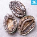 [롯데온]완도 활 전복 1kg 9-10미 (16,750원/무배)