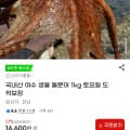 [G마켓]국내산 여수 생물 돌문어 1kg (16,600원/무료)