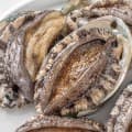 [우체국쇼핑]갯마을 완도활전복 1kg 8-9미 (19,800원/무료)