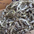 [롯데온]남해안 햇 멸치 고주바 멸치 1.5kg 1박스 (11,400원/무료)