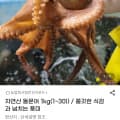[G마켓]자연산 돌문어 1kg (18,960원 / 무배)