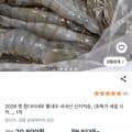 [쿠팡]고흥 당일조업 활 흰다리새우 500g (20,800원/무료배송)