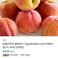[톡딜]딱딱이 털복숭아 1.5kg내외 (로얄/5-6과) (11,250원/무료)
