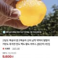 [네이버]망고복숭아 1.5kg 대과 10-12과 내외 (9,800원/네멤무료)