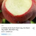 [오늘의집]대극천 반납작 복숭아 2kg (9,563원/무료)