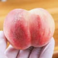 [토스]대극천 복숭아 소과 1kg 10-14과 (7,900원 / 무배)